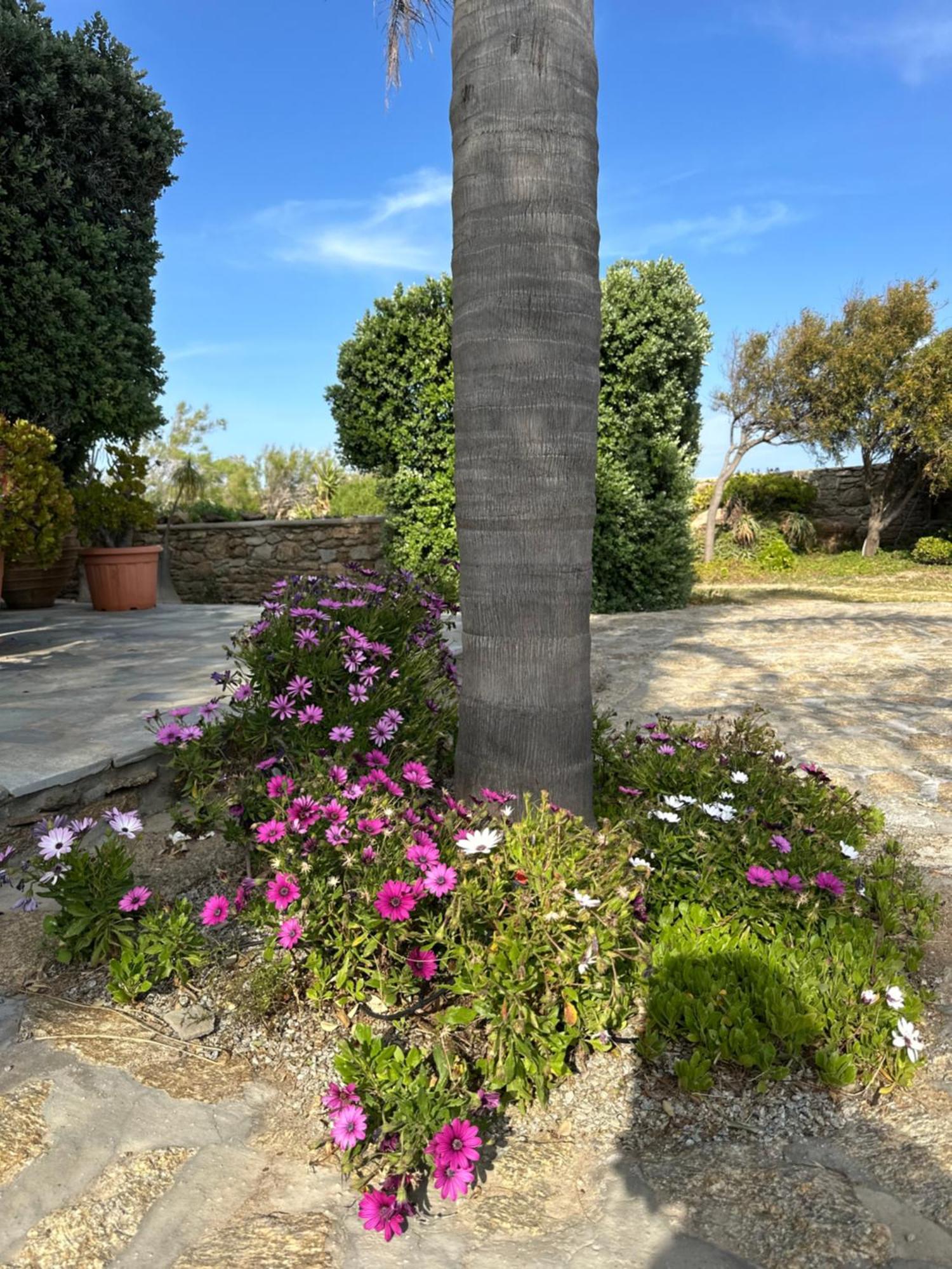 Divers House Agrári Kültér fotó