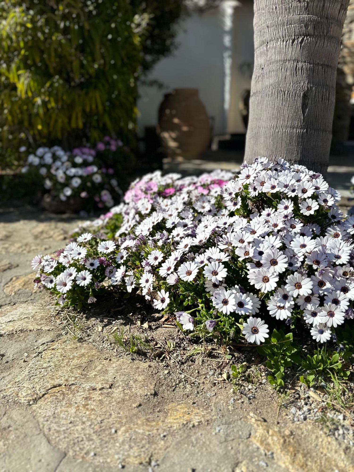 Divers House Agrári Kültér fotó